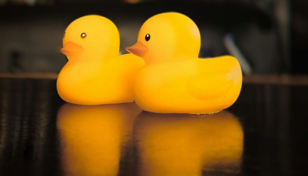 Two yellow rubber duck bath toys