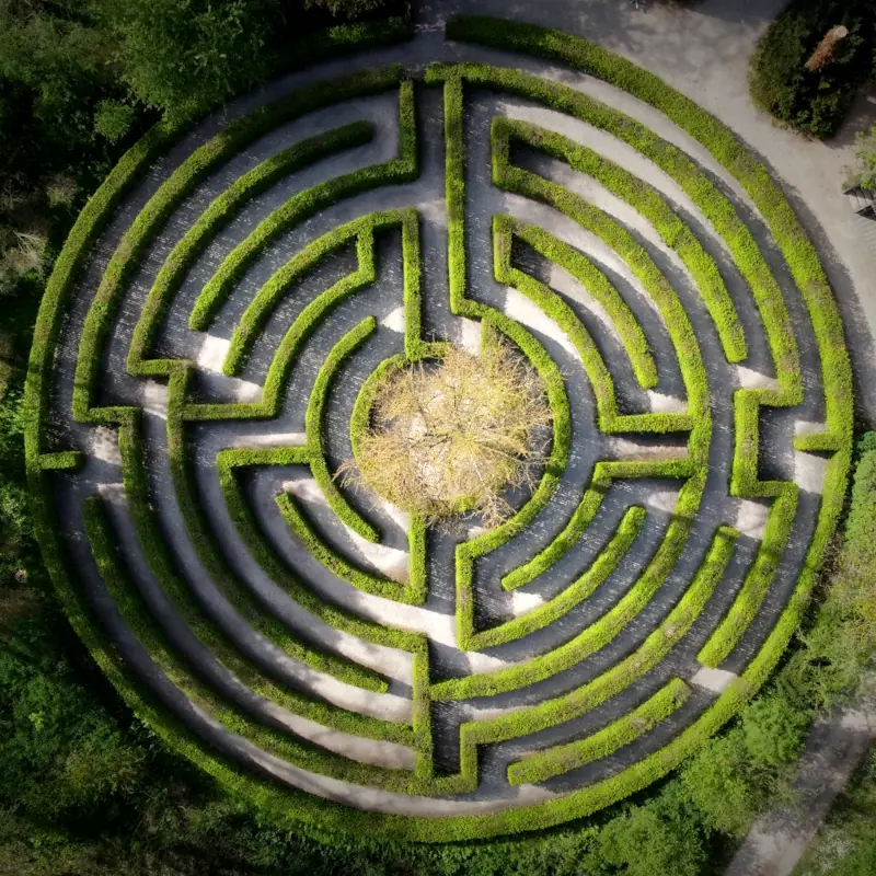 A labyrinth hedge.