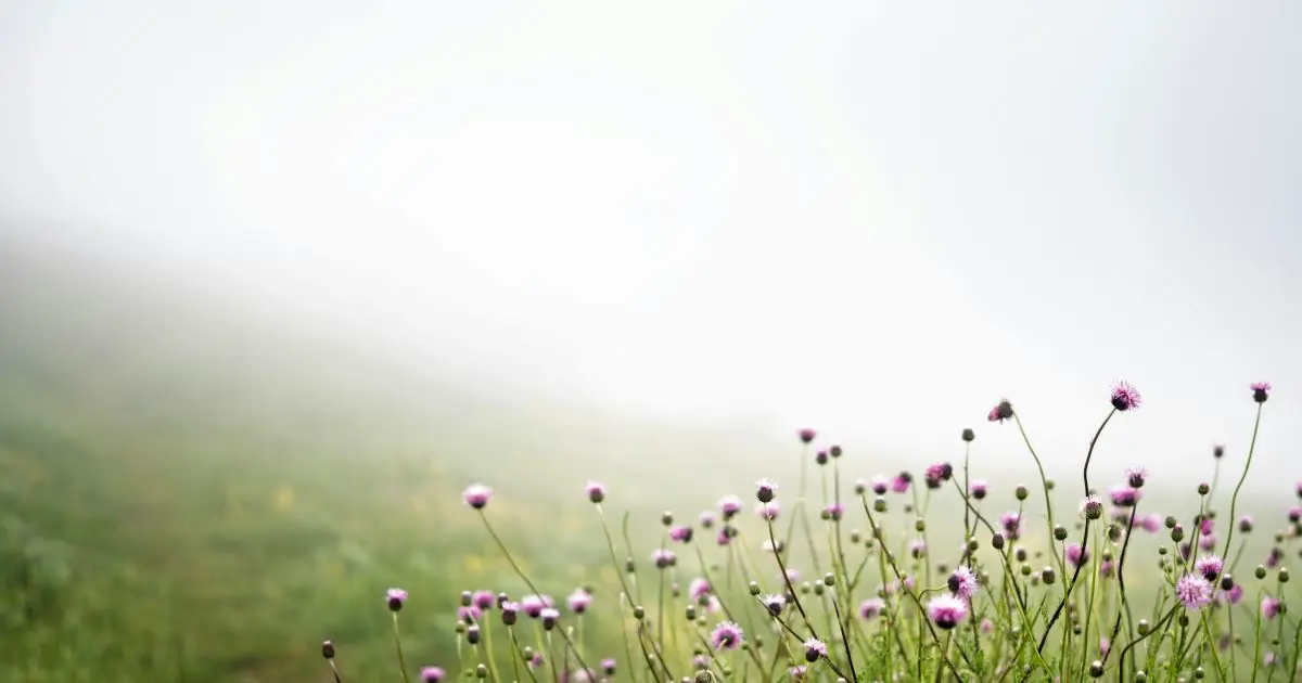 Spiritual Discernment: Think for Yourself